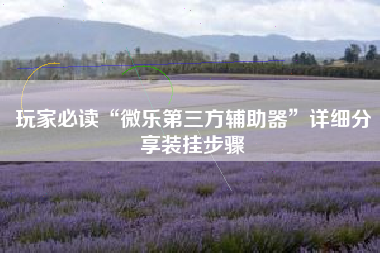 玩家必读“微乐第三方辅助器”详细分享装挂步骤