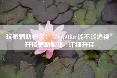 玩家辅助神器：“wepOKer能不能透视”开挂辅助脚本+详细开挂