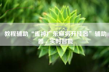 教程辅助“雀神广东麻将开挂器”辅助器 - 实时智能