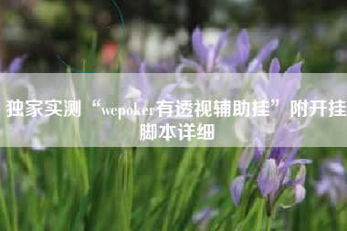 独家实测“wepoker有透视辅助挂”附开挂脚本详细