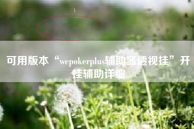 可用版本“wepokerplus辅助器透视挂”开挂辅助详细