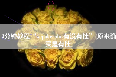 3分钟教程“wepokerplus有没有挂”(原来确实是有挂)