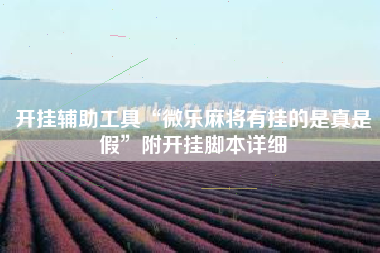开挂辅助工具“微乐麻将有挂的是真是假”附开挂脚本详细