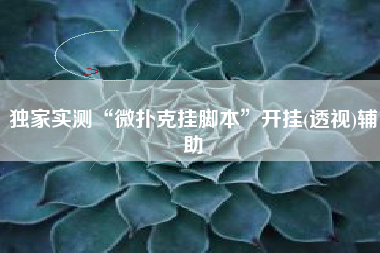 独家实测“微扑克挂脚本	”开挂(透视)辅助
