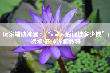 玩家辅助神器：“apoker透视挂多少钱”(透视)开挂详细教程