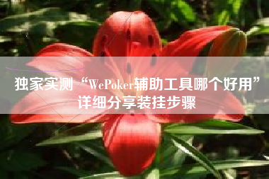 独家实测“WePoker辅助工具哪个好用”详细分享装挂步骤