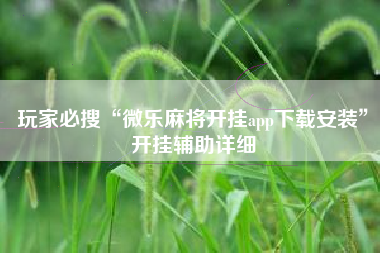 玩家必搜“微乐麻将开挂app下载安装	”开挂辅助详细