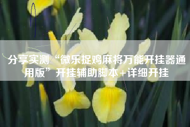 分享实测“微乐捉鸡麻将万能开挂器通用版	”开挂辅助脚本+详细开挂