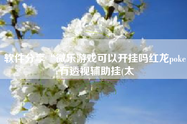 软件分享“微乐游戏可以开挂吗红龙poker有透视辅助挂(太