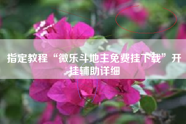 指定教程“微乐斗地主免费挂下载	”开挂辅助详细