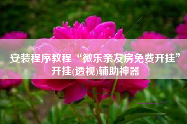 安装程序教程“微乐亲友房免费开挂”开挂(透视)辅助神器