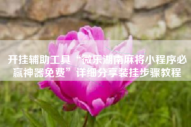 开挂辅助工具“微乐湖南麻将小程序必赢神器免费	”详细分享装挂步骤教程