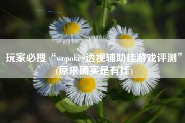 玩家必搜“wepoker透视辅助挂游戏评测	”(原来确实是有挂)