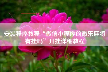 安装程序教程“微信小程序的微乐麻将有挂吗”开挂详细教程