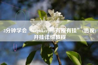 3分钟学会“wepokerplus有没有挂”(透视)开挂详细教程