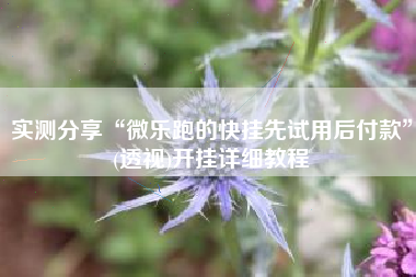 实测分享“微乐跑的快挂先试用后付款”(透视)开挂详细教程