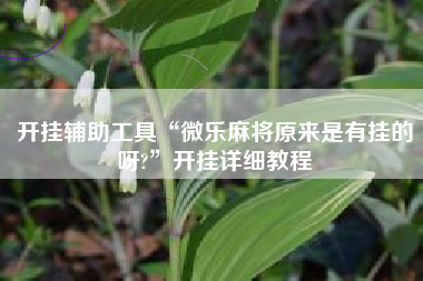 开挂辅助工具“微乐麻将原来是有挂的呀?	”开挂详细教程