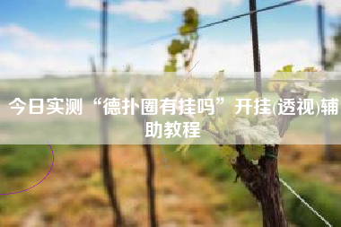 今日实测“德扑圈有挂吗	”开挂(透视)辅助教程