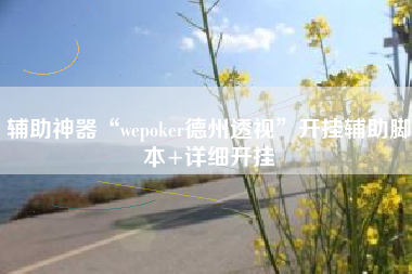 辅助神器“wepoker德州透视”开挂辅助脚本+详细开挂