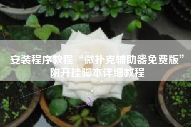 安装程序教程“微扑克辅助器免费版”附开挂脚本详细教程