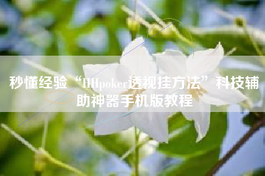 秒懂经验“HHpoker透视挂方法”科技辅助神器手机版教程