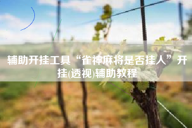 辅助开挂工具“雀神麻将是否挂人”开挂(透视)辅助教程