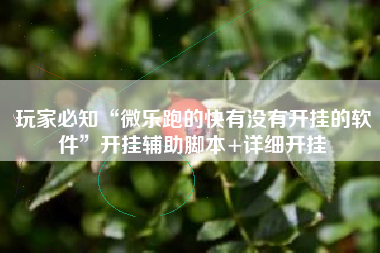 玩家必知“微乐跑的快有没有开挂的软件”开挂辅助脚本+详细开挂