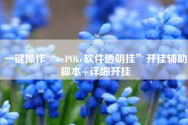 一键操作“wePOke软件透明挂”开挂辅助脚本+详细开挂