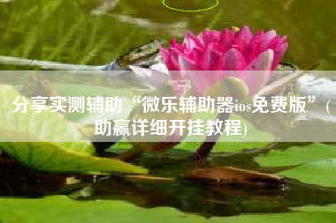 分享实测辅助“微乐辅助器ios免费版”(助赢详细开挂教程)