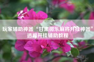 玩家辅助神器“甘肃微乐麻将开挂神器	”透视开挂辅助教程