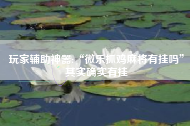 玩家辅助神器:“微乐抓鸡麻将有挂吗”其实确实有挂