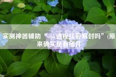 实测神器辅助“wpk透视挂容易封吗	”(原来确实是有插件