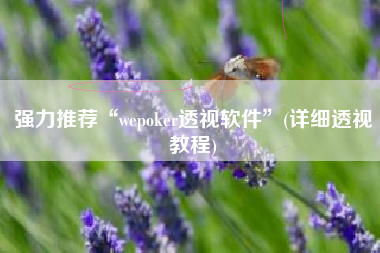 强力推荐“wepoker透视软件”(详细透视教程)