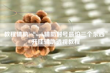 教程辅助!“wpk辅助封号最怕三个东西”开挂辅助透视教程