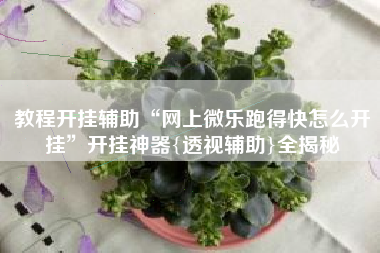 教程开挂辅助“网上微乐跑得快怎么开挂	”开挂神器{透视辅助}全揭秘