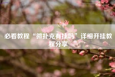 必看教程“微扑克有挂吗”详细开挂教程分享