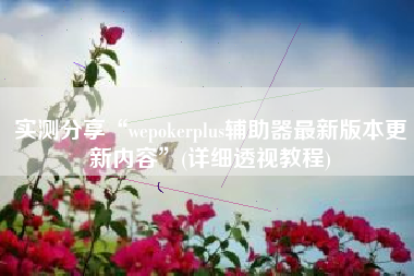 实测分享“wepokerplus辅助器最新版本更新内容”(详细透视教程)