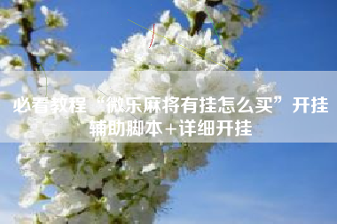 必看教程“微乐麻将有挂怎么买”开挂辅助脚本+详细开挂