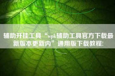 辅助开挂工具“wpk辅助工具官方下载最新版本更新内”通用版下载教程!