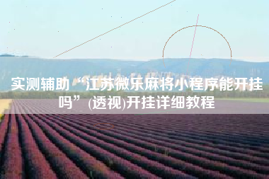 实测辅助“江苏微乐麻将小程序能开挂吗”(透视)开挂详细教程