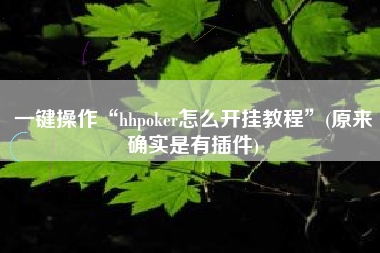 一键操作“hhpoker怎么开挂教程”(原来确实是有插件)