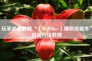 玩家必看教程“【WePOKer】辅助器脚本	”透视开挂教程