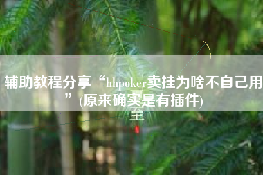 辅助教程分享“hhpoker卖挂为啥不自己用”(原来确实是有插件)