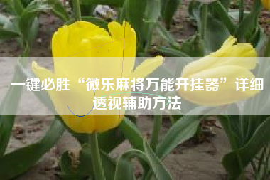 一键必胜“微乐麻将万能开挂器	”详细透视辅助方法