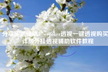 分享实测辅助“wepoker透视一键透视购买	”详细外挂透视辅助软件教程
