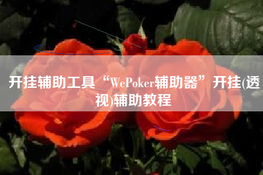 开挂辅助工具“WePoker辅助器”开挂(透视)辅助教程