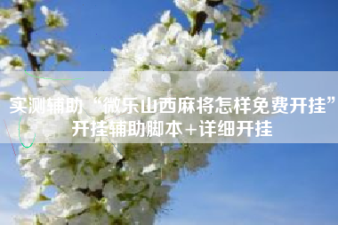 实测辅助“微乐山西麻将怎样免费开挂”开挂辅助脚本+详细开挂