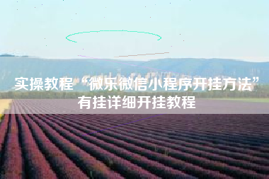 实操教程“微乐微信小程序开挂方法	”有挂详细开挂教程