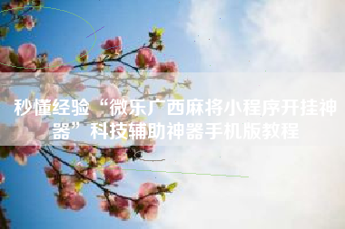 秒懂经验“微乐广西麻将小程序开挂神器”科技辅助神器手机版教程