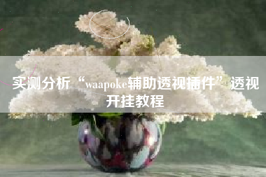 实测分析“waapoke辅助透视插件”透视开挂教程